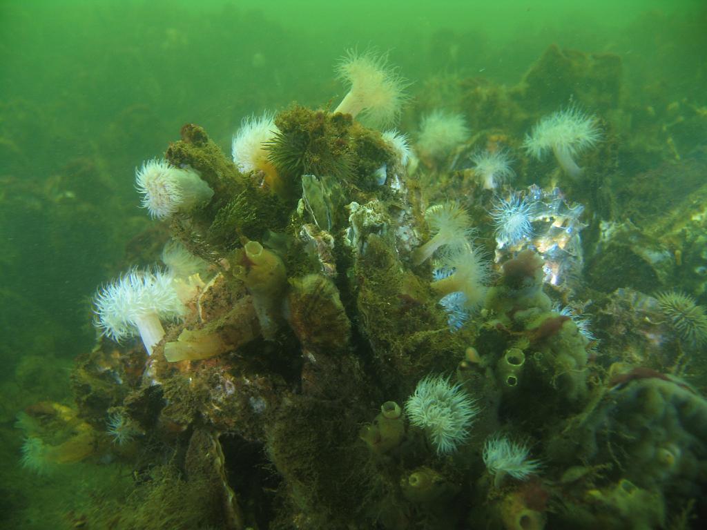 2008-07-20 09-07-27.JPG